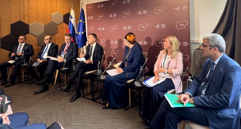 هیئت ترکمنستان در مجمع استراتژیک بلد اسلوونی شرکت کرد